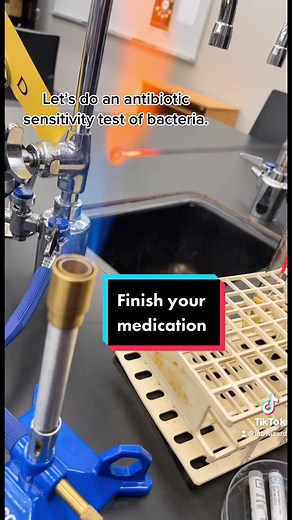 Kirby–Bauer test #microbiology #medical #lab #antibiotics