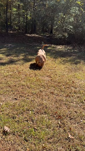 15 reactions · 9 comments | Blue Notes Call Tyrone ‍ Grch Blue Notes Rock Me Baby (Otis) ❌ Grch Blue Notes On and On (Badu) | Blue Note Bullies | Facebook