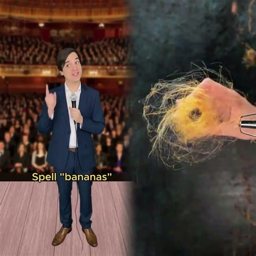 Spelling bee goes wrong #comedy #music #parody of #hollabackgirl by #gwenstefani