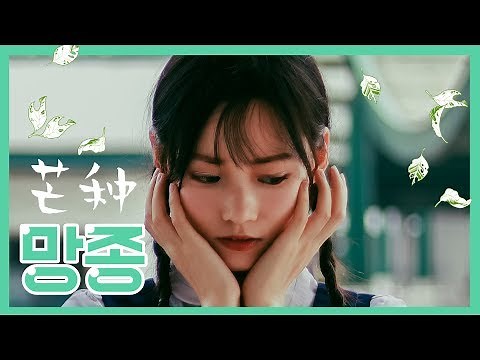 가장 요청이 많았던 중국노래 : 망종 [가사/병음/해석]