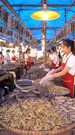 Inside the Reptile Market‪@muhammadarif-ai‬