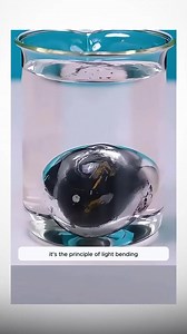 4.1K views · 33 reactions | Science experiments you can try at home | Real Facts | Facebook