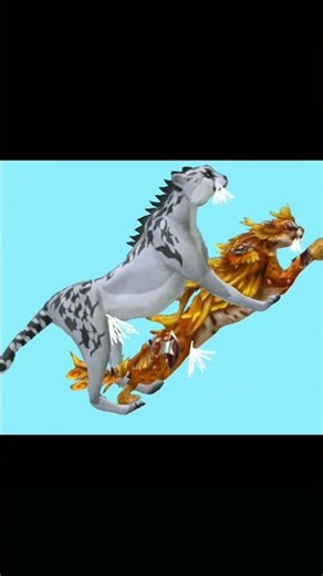 cheetahs having fun~ #wildcraft #wildcraftheat