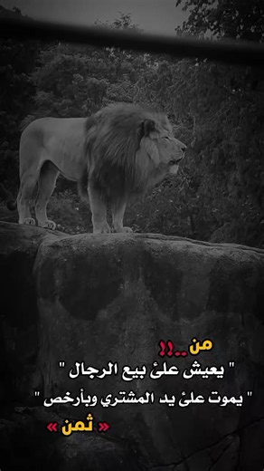 ‏#مساء_الخير #اكسبلور #o