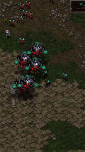 🔥 스타크래프트 브루드워 리마스터드 StarCraft Brood War Remastered 유영진 T vs 김정우 Z TvZ 레전드 맞대결 🤯