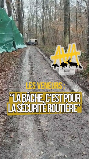 ☠️📯CHASSE À COURRE : la bâche pour la sécurité des riverains ? 🤔 Pour justifier l'installation de la bâche en lisière de forêt à côté de Montreuil, la chasse à courre a prétexté entre autres, la sécurité routière de la petite rue des Heunières. Le cerf pourrait selon ses dires traverser la route et causer un accident. Mercredi 18 février, des volontaires ont pu filmer l'équipage du Normand Piqu'hardi et sa vision de la sécurité routière. Nous ne sommes plus sur une petite route de campagne mai