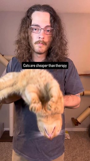 61K views · 104K reactions | This is a joke stay in therapy and also get a cat thanks #orangecat #catsofinstagram #orangecatsofinstagram #orangecatbehavior #orangeflavoredcat #cat #catdad #catlovers #orangecatsarethebest #funny | Renus Delph | Facebook