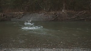 4.6K views · 119 reactions | "Plugs don't work bro." 路‍♂️ Did you get any Addicted Spring Merch Goodies last night? What did you order? | Addicted Fishing | Facebook