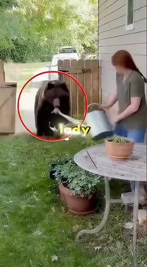 Brave Pets Who Saved Their Owners from Wild Attacks 🐕 🛡️