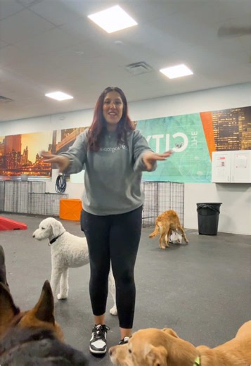 The Best Job Ever at Dogtopia