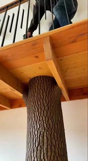 Wooden Loft Studio with Central Tree Trunk Column 🌲🪵