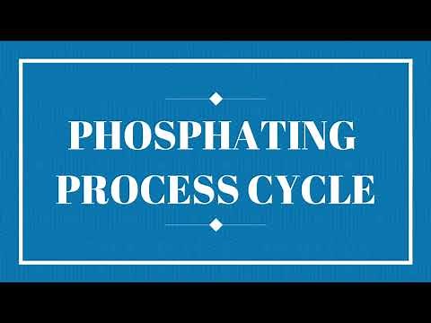 Phosphating Process Cycle Animation