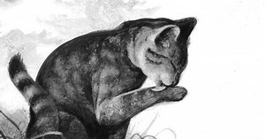 Warrior Cats Mates 4 (Hard)