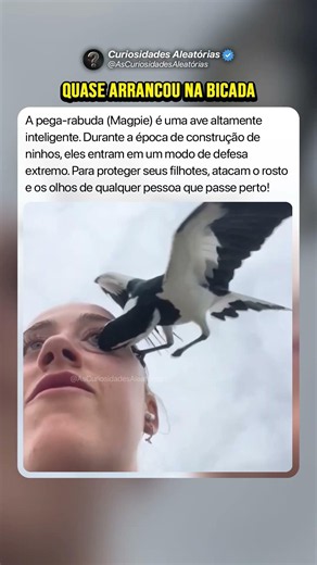Quase Arrancou à Base de Bicada 👁️ #curiosidades #mistérios