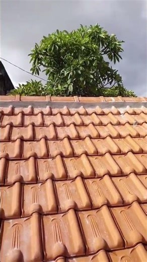 differences between roof tiles #aboutbuildings #building #constructionchannel