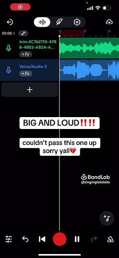Cover of Big and Loud – Energetic Performance