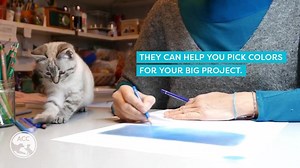 25K views · 200 reactions | You know what’s even better than working from home? Working with a friend! Please consider fostering or adopting a pet in need if you find yourself working from home ❤️ visit NYCACC.ORG to find your new “colleague”. | Animal Care Centers of NYC (ACC) | Facebook