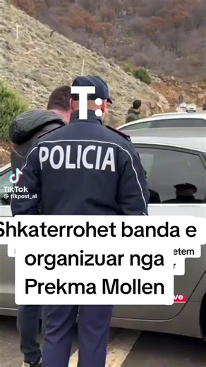 Banda famkeqe e Organizuar nga nje i moshuar P.Mollen 60 vjeq tashme eshte shkaterruar , gjykata i le te lire ne sherbim prove , duke pare moshen e tije , dhe problemet Shendetsore . Sherbim prove do te thote , gabimi nuk duhet perseritur