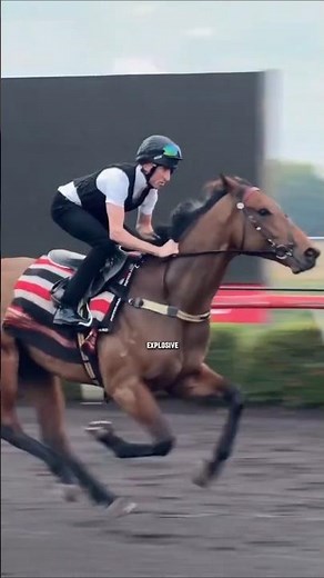 ThoroughBred VS The Arabian: Speed VS Endurance #horse #shorts
