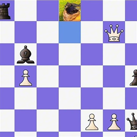 This Sacrifice Was Insane 😳 | chessbloop #2