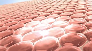 Cosmetic 3D animation design skin cell layer. Serum for lightening Dark skin tone changed to bright and repair wrinkles skin.