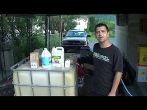 My Compost Tea recipe