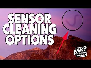 Sensor Cleaning Options: Ask David Bergman