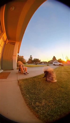 2K views · 13 reactions | #animals #short #Baby | House of the World | Facebook