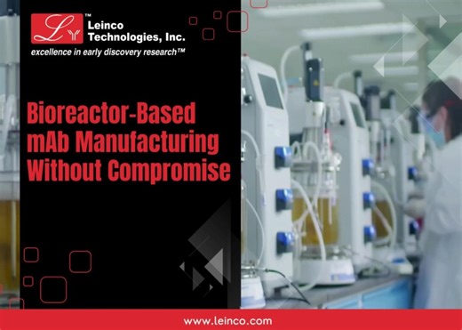 Leinco offers high-purity mAb production with in vitro bioreactors | Leinco Technologies posted on the topic | LinkedIn