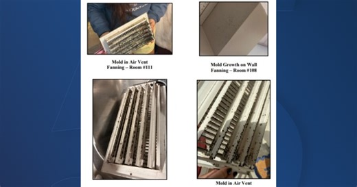 Looking into mold concerns as Lipscomb students sue the university over dorm conditions