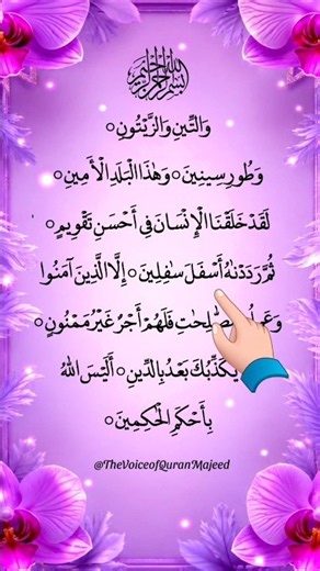Surah At-Tin | Beautiful Quran Recitation | Heart Touching Voice | Full HD