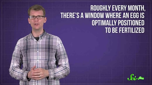 Why don't humans have a mating season?