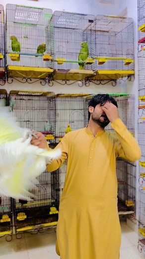 Asmat khan 1212 na TikTok