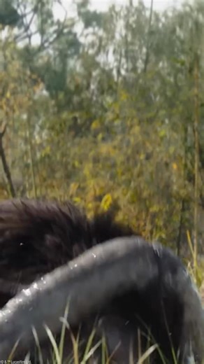 Grogu’s training continues. Open The Book of Boba Fett on Disney | Star Wars