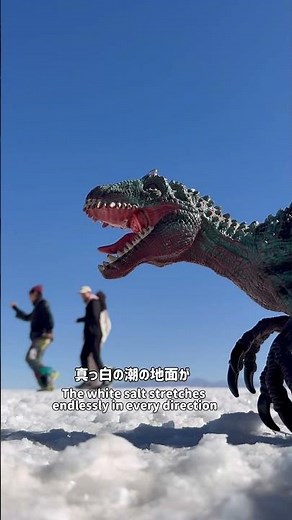 🇧🇴ボリビア/ウユニ塩湖