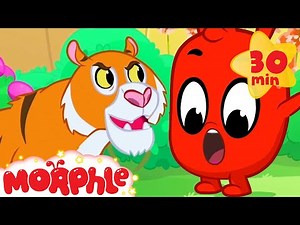 The Animals Get Mad - My Magic Pet Morphle | Cartoons For Kids | Morphle TV | Mila and Morphle