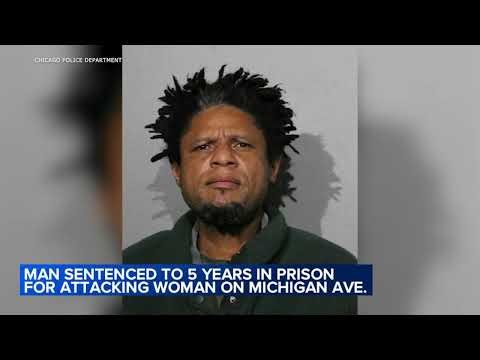 Man sentenced in Mag Mile attack that critically injured woman