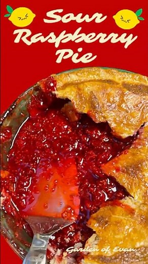 How to Make Sour Raspberry Pie #sour #raspberry