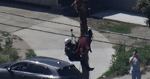 Watch: Rescuer reaches worker in distress dangling from a tree in San Jose