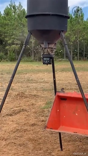 14K views · 61 reactions | Testing Our Solar Powered Deer Feeder #deerfeeder #deerplot #solarfeeder #feeder | Piney Grove Homestead and Mini Farm | Facebook