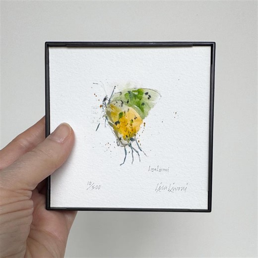 Framed Butterfly Watercolor Print, Signed Limited Edition - Etsy