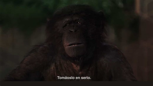 La nueva y original campaña de LE Tribute