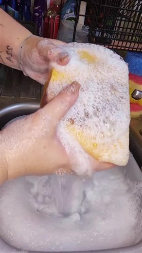 Satisfying Sponge Rinse ASMR