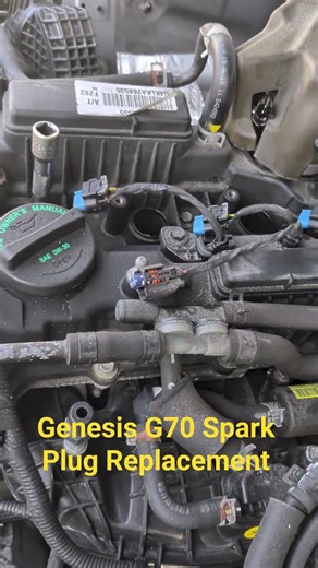 Genesis G70 2.0T Spark Plug Replacement 🧰🤧 #hyundai #viral #shorts #reels #fypシ #mechanic #fyp