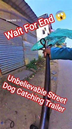 Raheman Dakait Kasai Muaa Street Dog Catching #dog #mafiadogcatcher #ytviral #pets #shorts #ytshorts