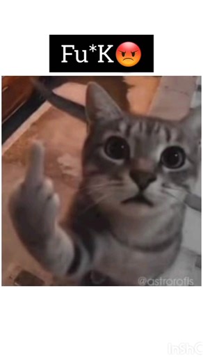 please to sakarpara😂my channel🤪#souravjoshivlogs#funny#cat #souravjoshifunny