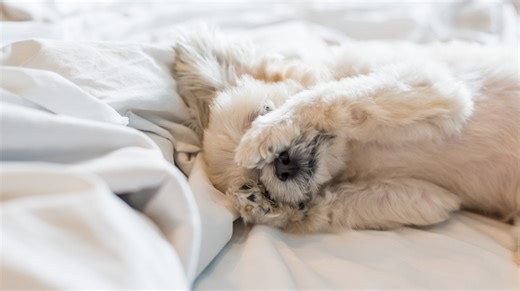 When is daylight savings 2026 time change? What date does US daylight saving time spring forward?