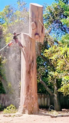 A Day in the Life of an American Logger