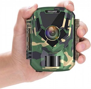 6 Best Trail Camera For Bird Watching 2023 (With Pricing!) - Birding Outdoors
