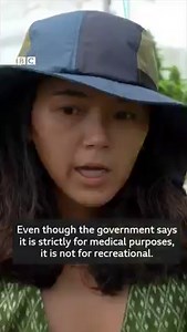 "It's such a big win for all stoners in Thailand," says one enthusiast, who can now grow cannabis legally in the country. Despite being known for its strict drug laws, Thailand has become the first country in Asia to legalise marijuana - but for medical, not recreational use. Is the legal cannabis business going global? https://bbc.in/3zUkTVY | BBC World Service